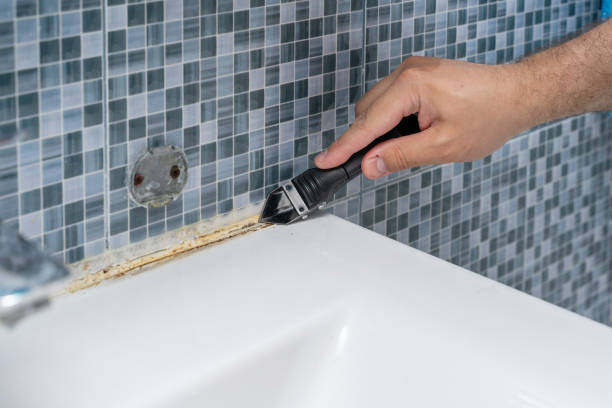 Office Mold Removal Services in Churchill, MT