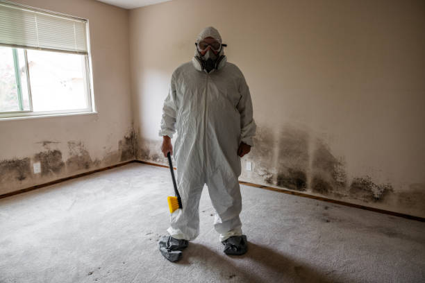 Best Office Mold Removal Services  in Churchill, MT